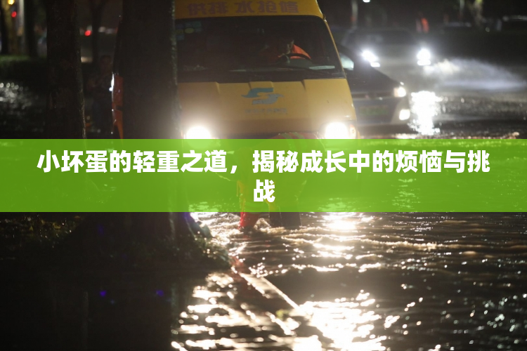小坏蛋的轻重之道，揭秘成长中的烦恼与挑战