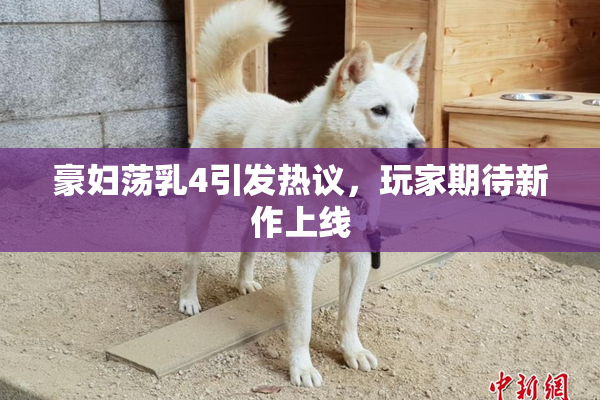 豪妇荡乳4引发热议，玩家期待新作上线