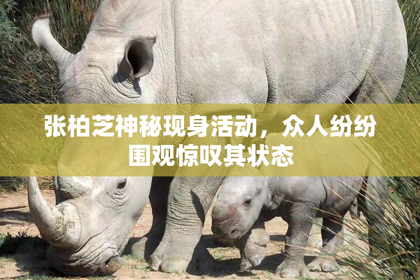 张柏芝神秘现身活动，众人纷纷围观惊叹其状态