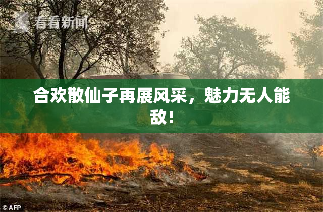 合欢散仙子再展风采，魅力无人能敌！