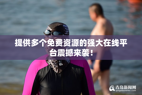 提供多个免费资源的强大在线平台震撼来袭！