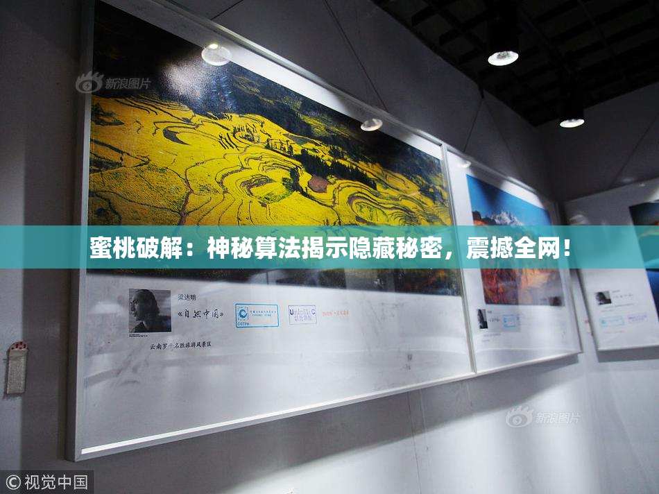 蜜桃破解：神秘算法揭示隐藏秘密，震撼全网！