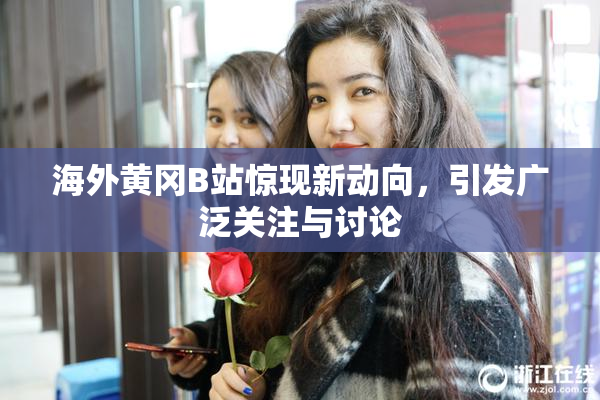 海外黄冈B站惊现新动向，引发广泛关注与讨论