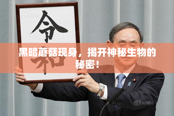 黑暗蘑菇现身，揭开神秘生物的秘密！