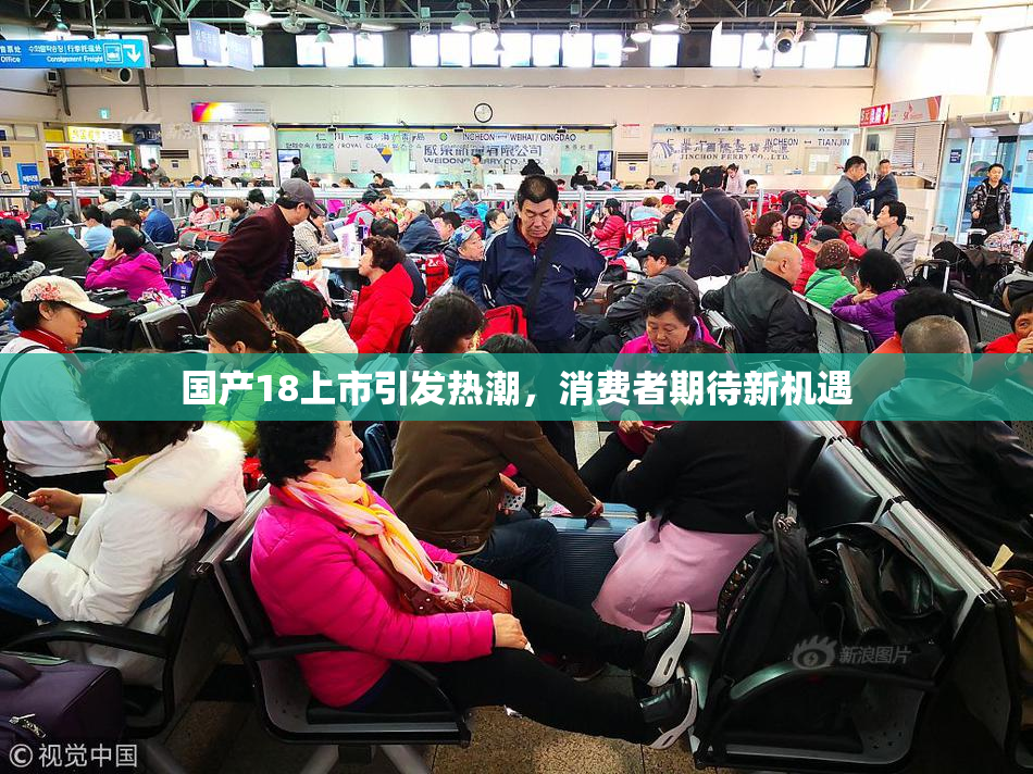 国产18上市引发热潮，消费者期待新机遇