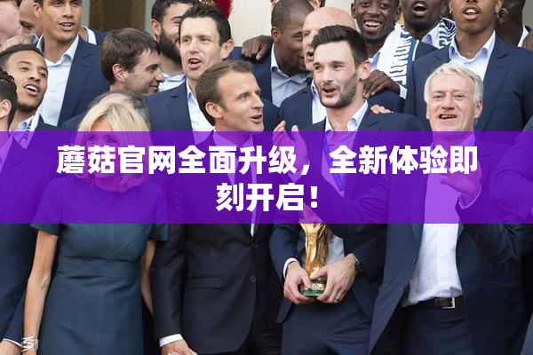蘑菇官网全面升级，全新体验即刻开启！