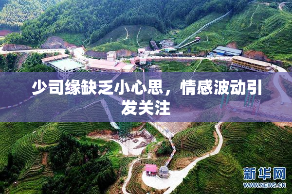 少司缘缺乏小心思，情感波动引发关注