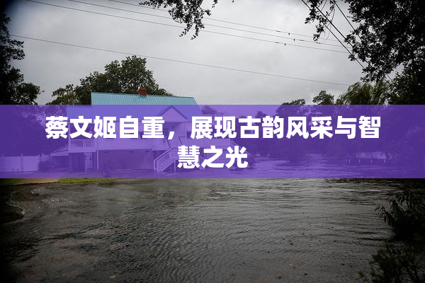 蔡文姬自重，展现古韵风采与智慧之光