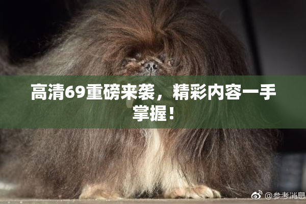 高清69重磅来袭，精彩内容一手掌握！