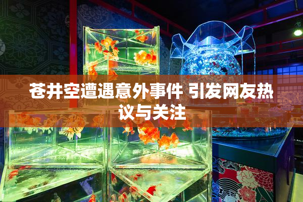 苍井空遭遇意外事件 引发网友热议与关注