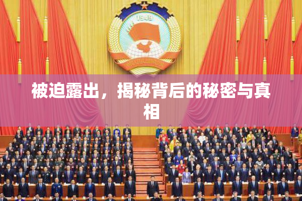 被迫露出，揭秘背后的秘密与真相