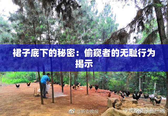裙子底下的秘密：偷窥者的无耻行为揭示