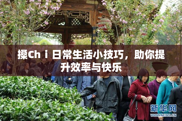 搡Chⅰ日常生活小技巧，助你提升效率与快乐