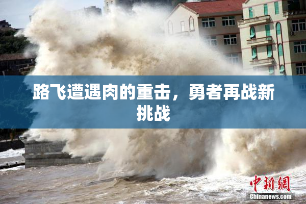 路飞遭遇肉的重击，勇者再战新挑战