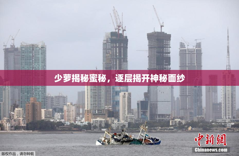 少萝揭秘蜜秘，逐层揭开神秘面纱