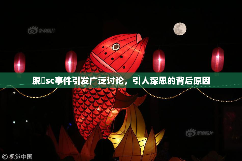 脱糞sc事件引发广泛讨论，引人深思的背后原因