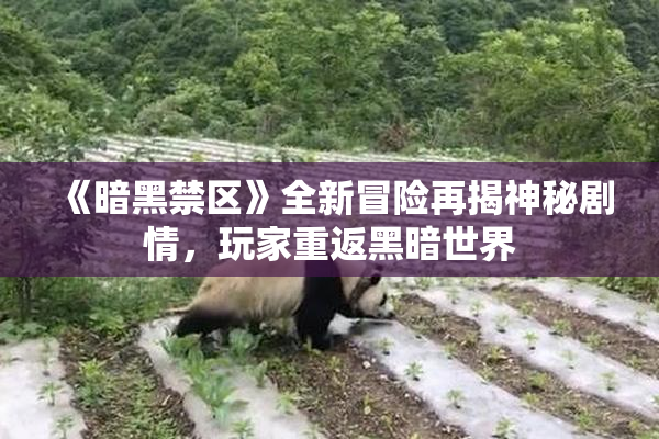 《暗黑禁区》全新冒险再揭神秘剧情，玩家重返黑暗世界