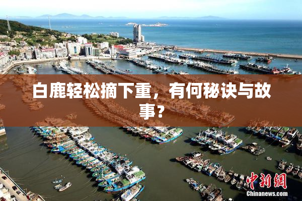 白鹿轻松摘下重，有何秘诀与故事？