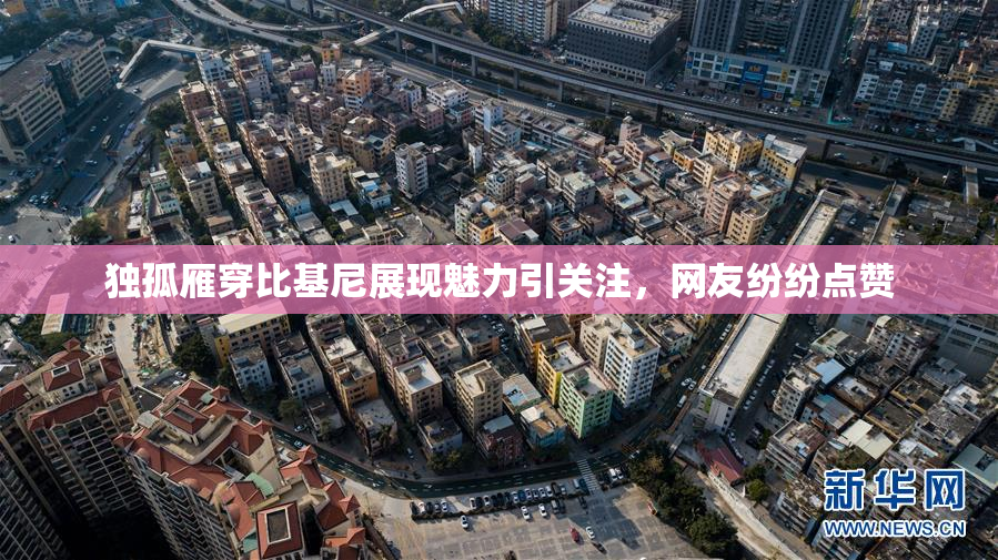 独孤雁穿比基尼展现魅力引关注，网友纷纷点赞