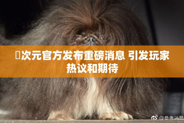 囧次元官方发布重磅消息 引发玩家热议和期待