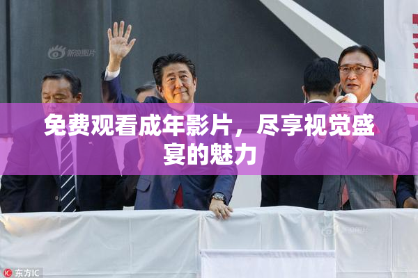 免费观看成年影片，尽享视觉盛宴的魅力