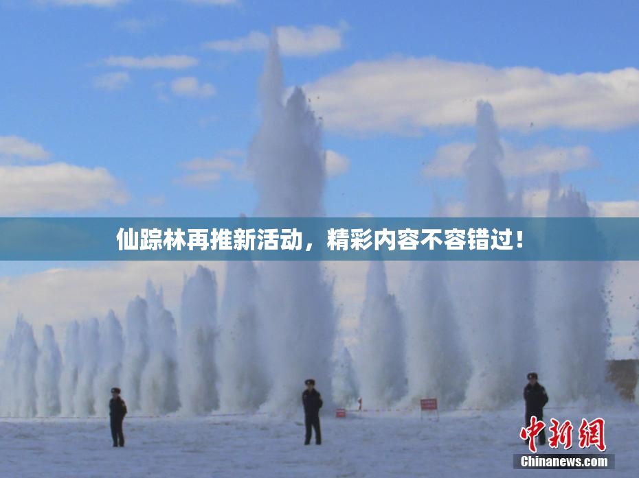 仙踪林再推新活动，精彩内容不容错过！