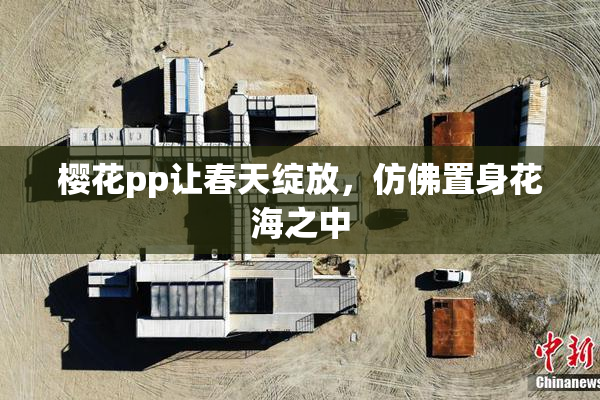 樱花pp让春天绽放，仿佛置身花海之中