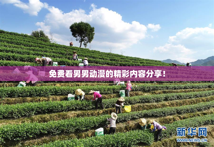 免费看男男动漫的精彩内容分享！