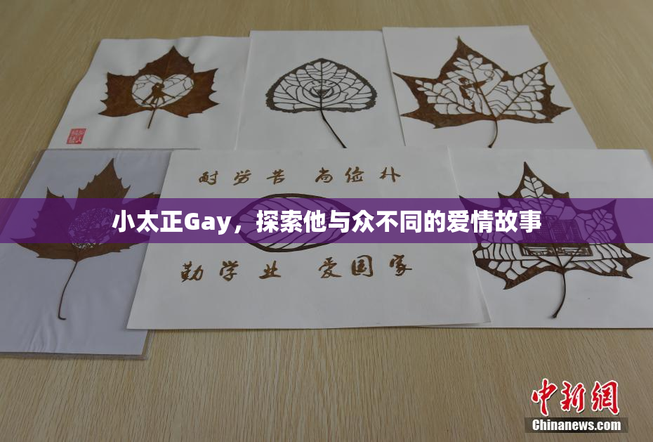 小太正Gay，探索他与众不同的爱情故事