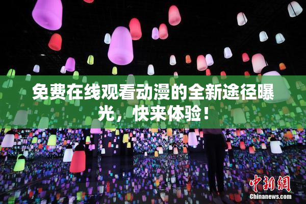 免费在线观看动漫的全新途径曝光，快来体验！