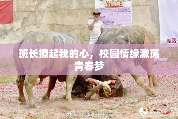 班长撩起我的心，校园情缘激荡青春梦