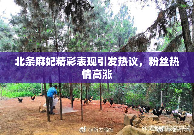北条麻妃精彩表现引发热议，粉丝热情高涨