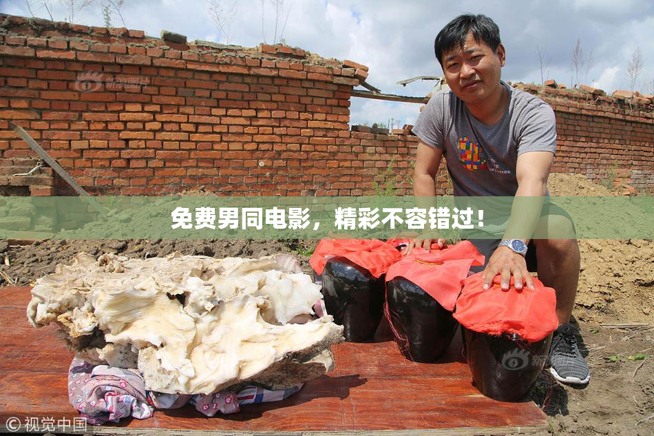 免费男同电影，精彩不容错过！