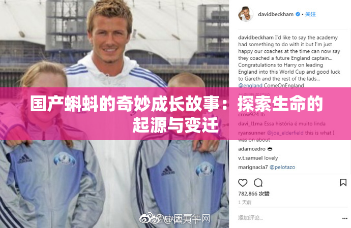 国产蝌蚪的奇妙成长故事：探索生命的起源与变迁