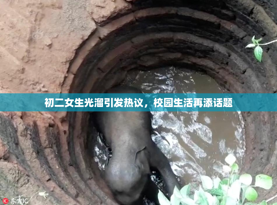 初二女生光溜引发热议，校园生活再添话题
