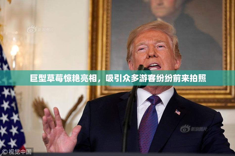 巨型草莓惊艳亮相，吸引众多游客纷纷前来拍照
