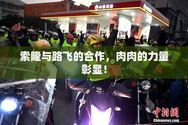 索隆与路飞的合作，肉肉的力量彰显！
