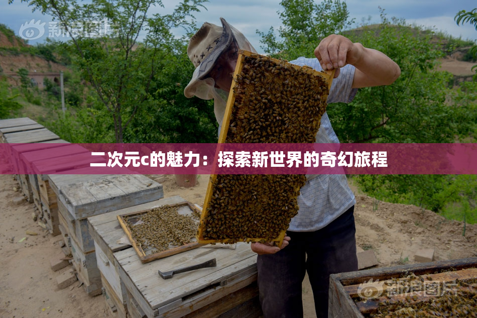 二次元c的魅力：探索新世界的奇幻旅程