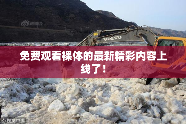 免费观看裸体的最新精彩内容上线了！