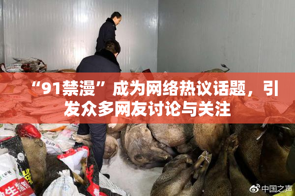 “91禁漫”成为网络热议话题，引发众多网友讨论与关注