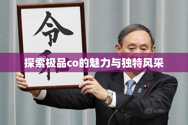 探索极品co的魅力与独特风采