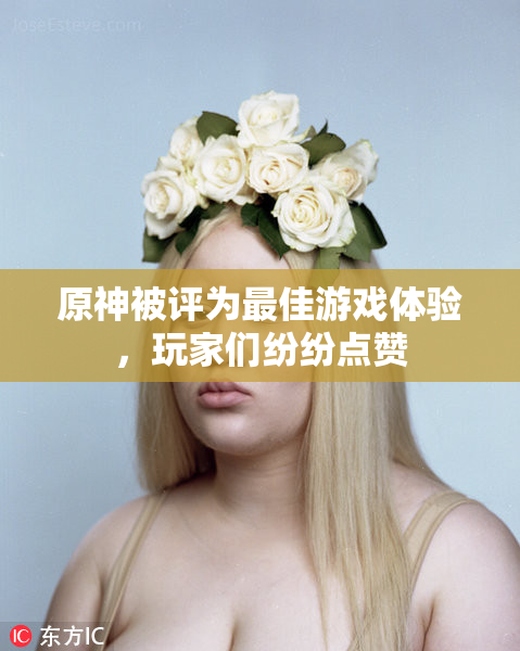 原神被评为最佳游戏体验，玩家们纷纷点赞