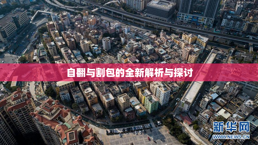 自翻与割包的全新解析与探讨