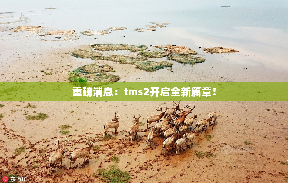 重磅消息：tms2开启全新篇章！