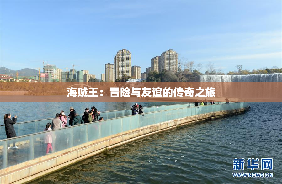 海贼王：冒险与友谊的传奇之旅
