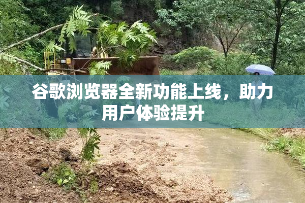 谷歌浏览器全新功能上线，助力用户体验提升