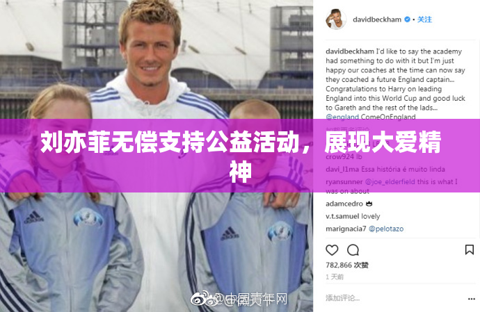 刘亦菲无偿支持公益活动，展现大爱精神