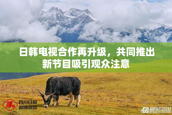 日韩电视合作再升级，共同推出新节目吸引观众注意