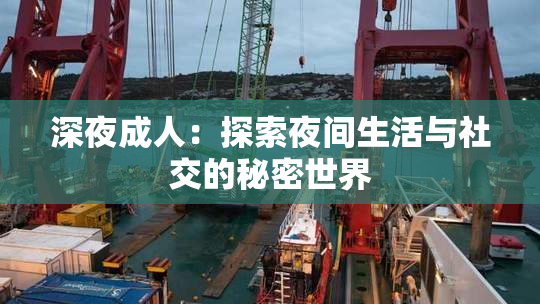 深夜成人：探索夜间生活与社交的秘密世界