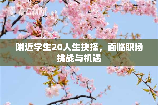 附近学生20人生抉择，面临职场挑战与机遇